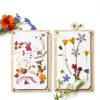 Berstuk Flower Press Kit Wooden Travel Size-2