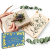 Berstuk Flower Press Kit Wooden Travel Size-4