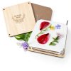 GOTHINK Flower Press Kit Basswood for Kids-6