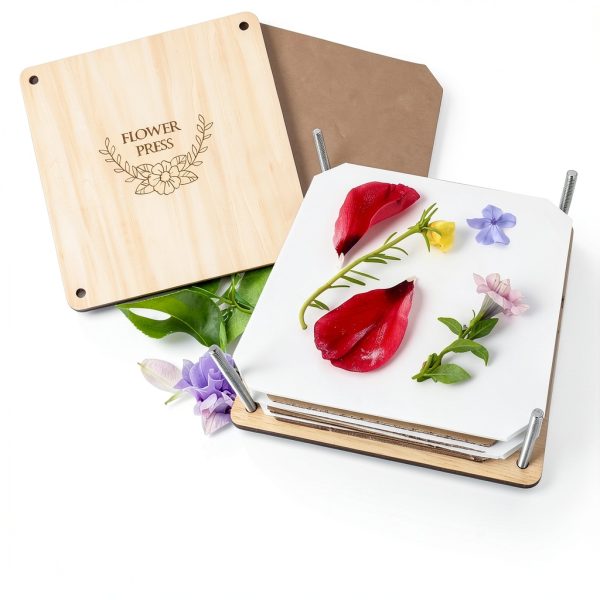 GOTHINK Flower Press Kit Basswood for Kids-6