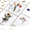 Wakhow Floral Press Kit for Teens Adults Natural Wood-1