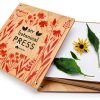 Botanical Press Tender Leaf Toys Wood Kids Kit-2