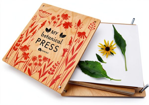 Botanical Press Tender Leaf Toys Wood Kids Kit-2