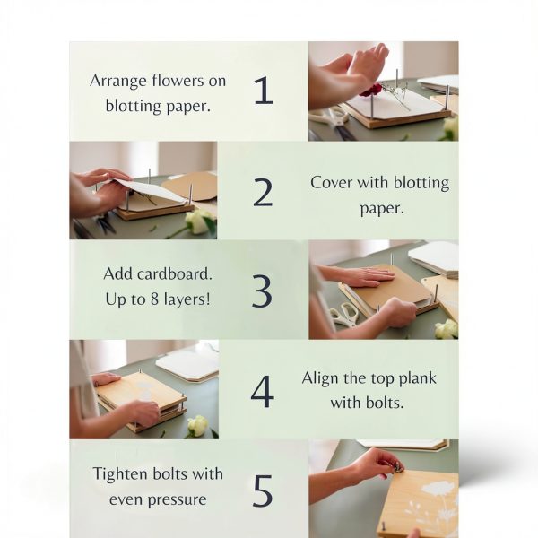 Rightly Wyld Flower Press Kit Natural Maple Wood-7