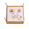 Rhykoka Wooden Flower Press Kit Steel for Kids-4