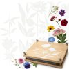 Rightly Wyld Flower Press Kit Natural Maple Wood-1