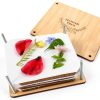 GOTHINK Flower Press Kit Basswood for Kids-0